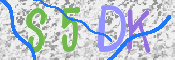 code de sécurité à recopier ci-dessous