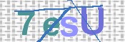 code de sécurité à recopier ci-dessous