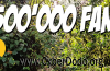 CyberDodo a 1’500’000 fans sur Facebook !