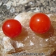 1ères tomates cerises de la saison…