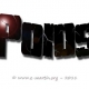 Le poids ou le… ?