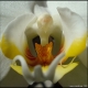Nature… Thanks God!