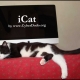 iCat (by www.CyberDodo.org)