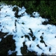 Première neige dans le Luberon