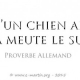 De l’effet de meute à la perte de mémoire, phénomène récursif ?