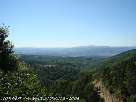 O80728-Panorama