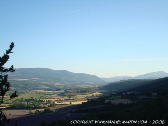 O80728-Valley