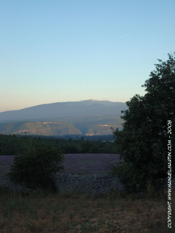 O80728-Ventoux