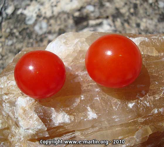100715-Tomates