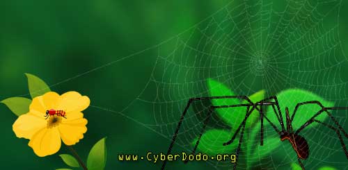 100913-Spiders-1-56