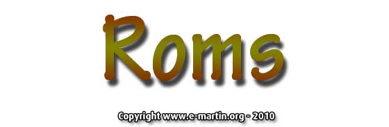 100917-Roms