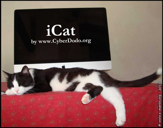 iCat by www.CyberDodo.org